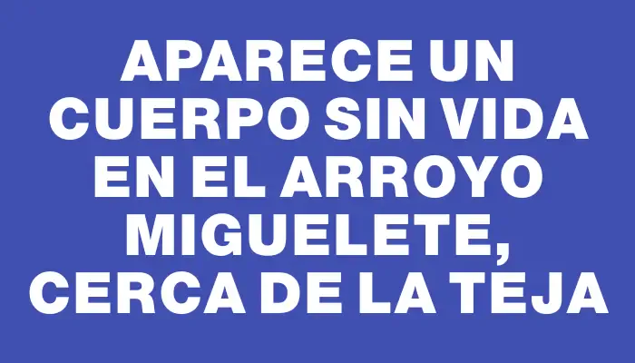 Aparece un cuerpo sin vida en el arroyo Miguelete, cerca de La Teja