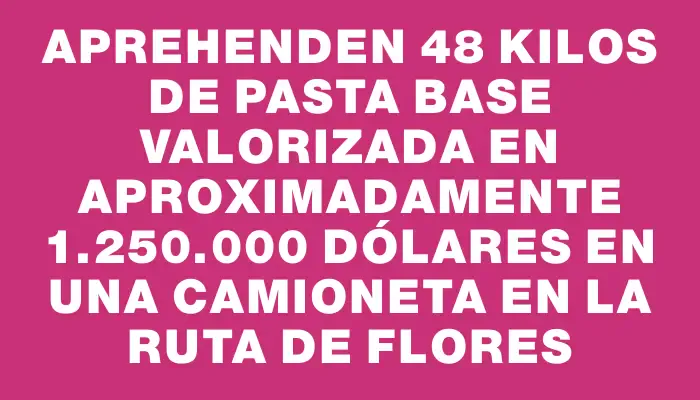 Aprehenden 48 kilos de pasta base valorizada en aproximadamente 1.250.000 dólares en una camioneta en la ruta de Flores