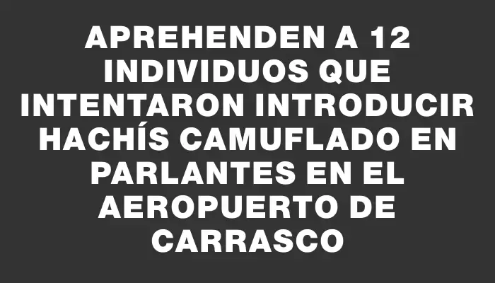 Aprehenden a 12 individuos que intentaron introducir hachís camuflado en parlantes en el Aeropuerto de Carrasco