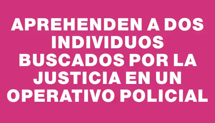 Aprehenden a dos individuos buscados por la Justicia en un operativo policial