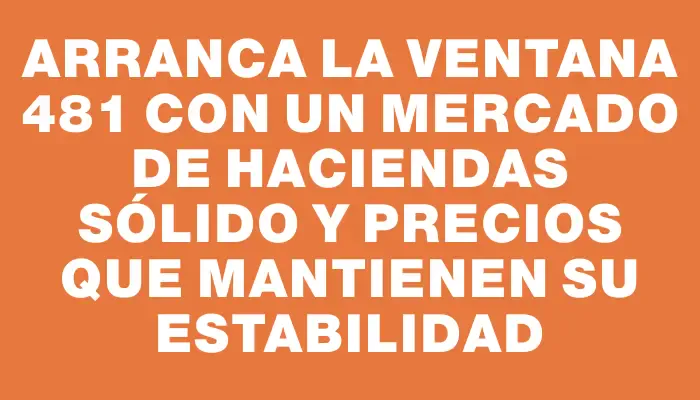 Arranca la ventana 481 con un mercado de haciendas sólido y precios que mantienen su estabilidad
