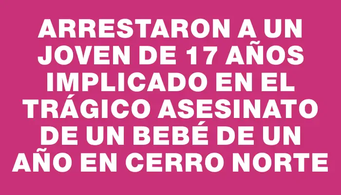 Arrestaron a un joven de 17 años implicado en el trágico asesinato de un bebé de un año en Cerro Norte