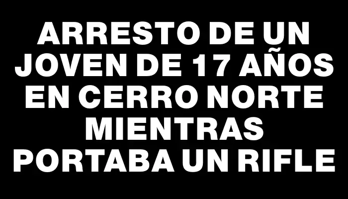 Arresto de un joven de 17 años en Cerro Norte mientras portaba un rifle