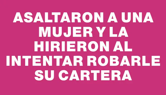 Asaltaron a una mujer y la hirieron al intentar robarle su cartera