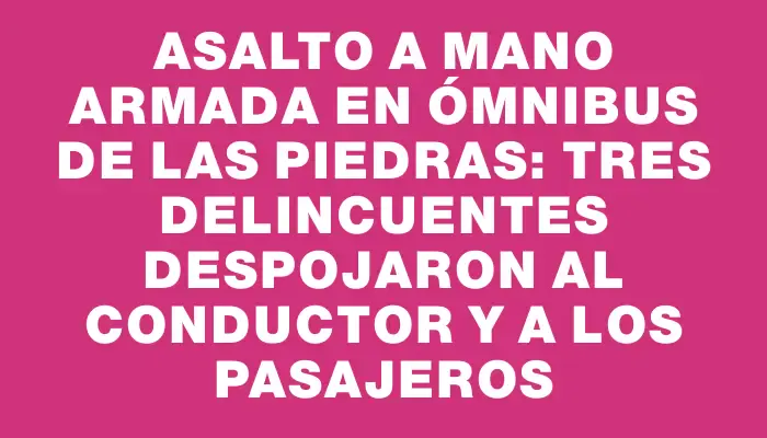 Asalto a mano armada en ómnibus de Las Piedras: tres delincuentes despojaron al conductor y a los pasajeros
