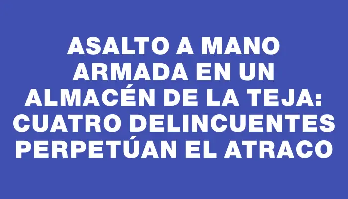 Asalto a mano armada en un almacén de La Teja: cuatro delincuentes perpetúan el atraco