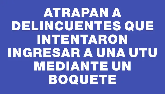 Atrapan a delincuentes que intentaron ingresar a una Utu mediante un boquete