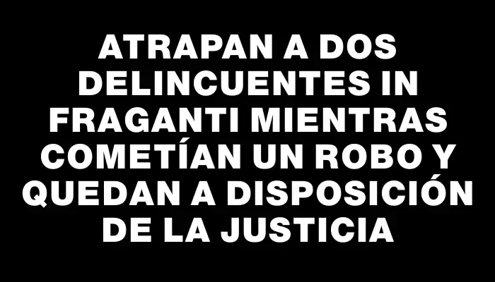 Atrapan a dos delincuentes in fraganti mientras cometían un robo y quedan a disposición de la justicia