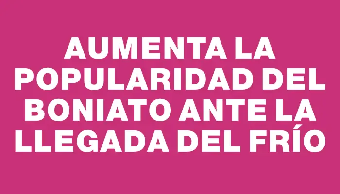 Aumenta la popularidad del boniato ante la llegada del frío