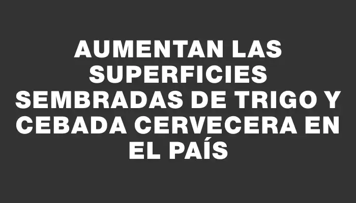 Aumentan las superficies sembradas de trigo y cebada cervecera en el país