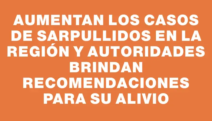 Aumentan los casos de sarpullidos en la región y autoridades brindan recomendaciones para su alivio