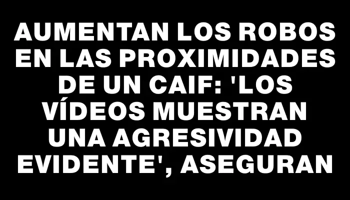 Aumentan los robos en las proximidades de un Caif: "Los vídeos muestran una agresividad evidente", aseguran