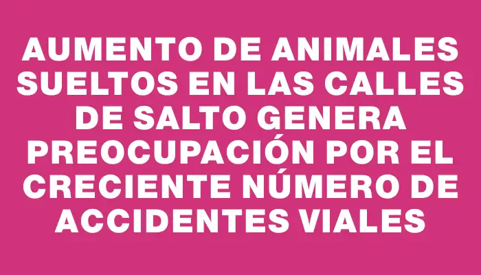 Aumento de animales sueltos en las calles de Salto genera preocupación por el creciente número de accidentes viales