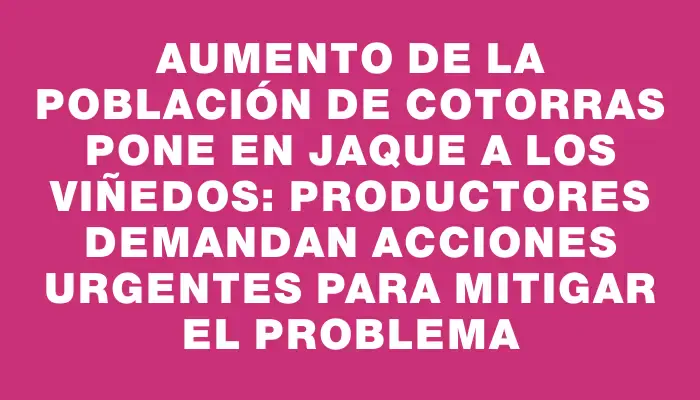 Aumento de la población de cotorras pone en jaque a los viñedos: productores demandan acciones urgentes para mitigar el problema