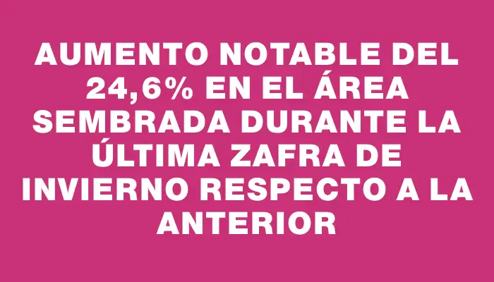 Aumento notable del 24,6% en el área sembrada durante la última zafra de invierno respecto a la anterior