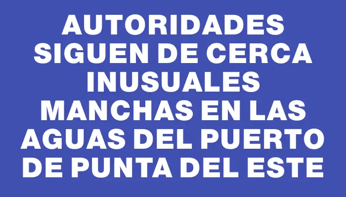 Autoridades siguen de cerca inusuales manchas en las aguas del Puerto de Punta del Este