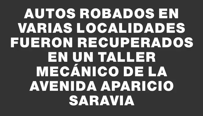 Autos robados en varias localidades fueron recuperados en un taller mecánico de la avenida Aparicio Saravia