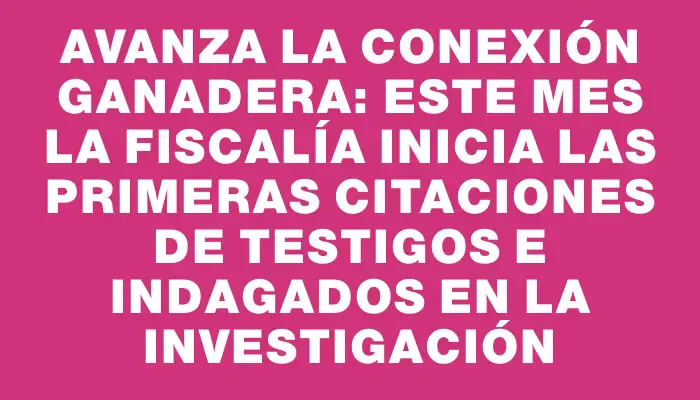 Avanza la Conexión Ganadera: Este mes la Fiscalía inicia las primeras citaciones de testigos e indagados en la investigación