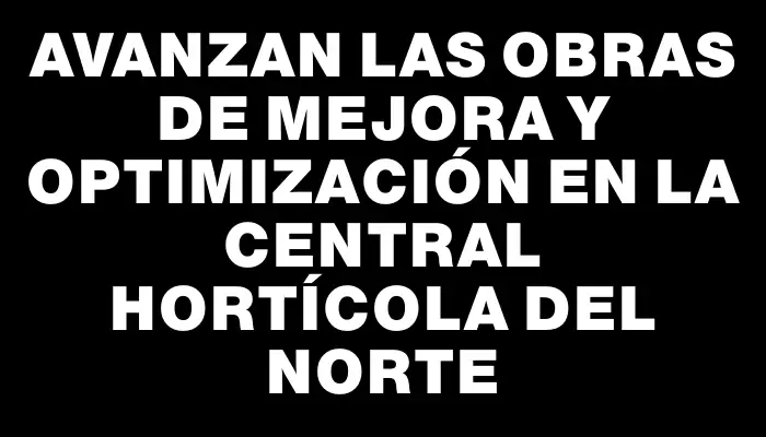 Avanzan las obras de mejora y optimización en la Central Hortícola del Norte