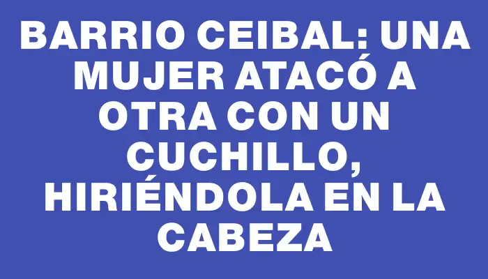 Barrio Ceibal: una mujer atacó a otra con un cuchillo, hiriéndola en la cabeza