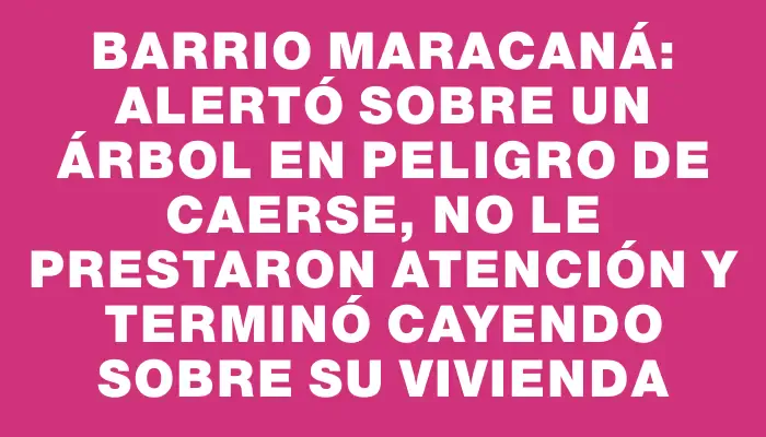 Barrio Maracaná: alertó sobre un árbol en peligro de caerse, no le prestaron atención y terminó cayendo sobre su vivienda