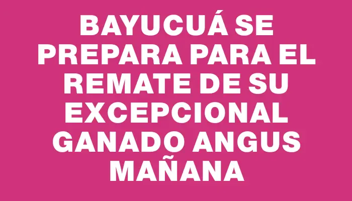 Bayucuá se prepara para el remate de su excepcional ganado Angus mañana