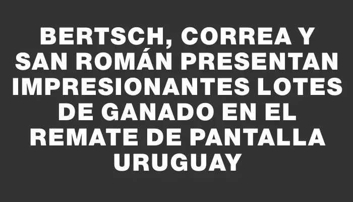 Bertsch, Correa y San Román presentan impresionantes lotes de ganado en el remate de Pantalla Uruguay