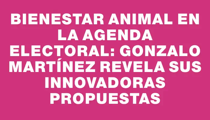 Bienestar Animal en la Agenda Electoral: Gonzalo Martínez revela sus innovadoras propuestas