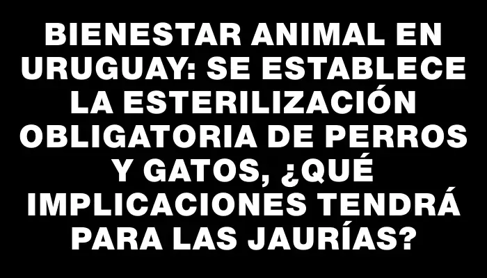 Bienestar Animal en Uruguay: Se Establece la Esterilización Obligatoria de Perros y Gatos, ¿Qué Implicaciones Tendrá para las Jaurías?