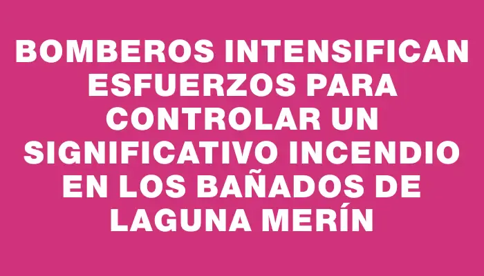 Bomberos intensifican esfuerzos para controlar un significativo incendio en los bañados de Laguna Merín