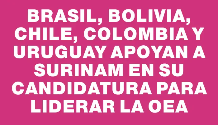 Brasil, Bolivia, Chile, Colombia y Uruguay apoyan a Surinam en su candidatura para liderar la Oea