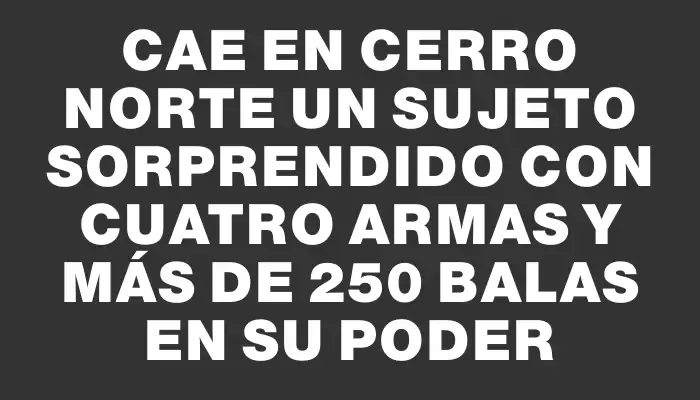 Cae en Cerro Norte un sujeto sorprendido con cuatro armas y más de 250 balas en su poder