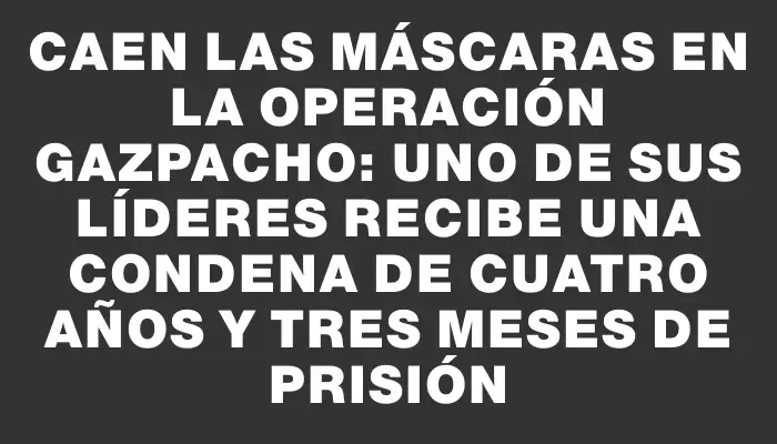 Caen las máscaras en la Operación Gazpacho: uno de sus líderes recibe una condena de cuatro años y tres meses de prisión