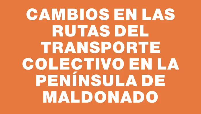 Cambios en las rutas del transporte colectivo en la Península de Maldonado