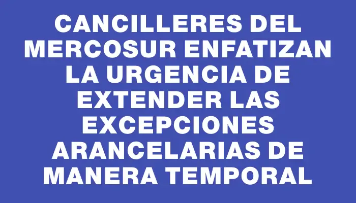 Cancilleres del Mercosur enfatizan la urgencia de extender las excepciones arancelarias de manera temporal
