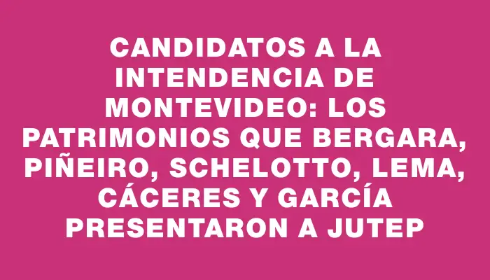 Candidatos a la Intendencia de Montevideo: Los patrimonios que Bergara, Piñeiro, Schelotto, Lema, Cáceres y García presentaron a Jutep