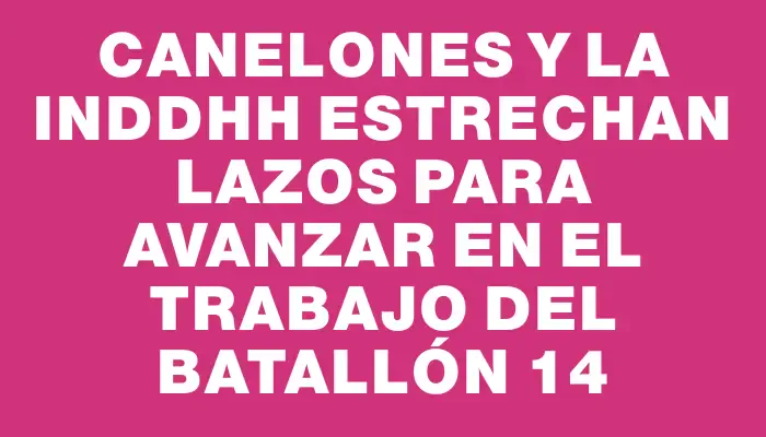 Canelones y la Inddhh estrechan lazos para avanzar en el trabajo del Batallón 14
