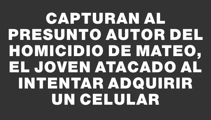 Capturan al presunto autor del homicidio de Mateo, el joven atacado al intentar adquirir un celular