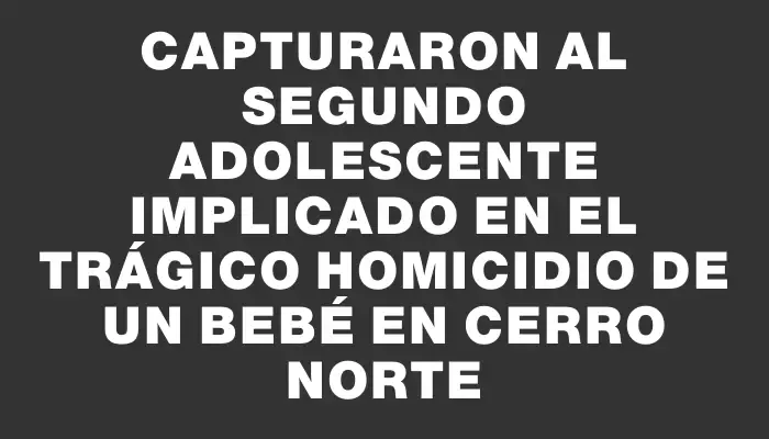 Capturaron al segundo adolescente implicado en el trágico homicidio de un bebé en Cerro Norte