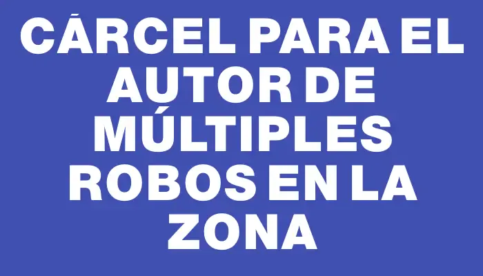 Cárcel para el autor de múltiples robos en la zona