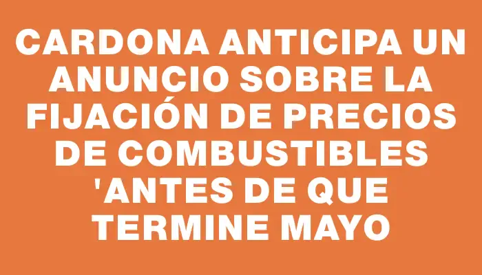 Cardona anticipa un anuncio sobre la fijación de precios de combustibles "antes de que termine mayo