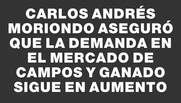 Carlos Andrés Moriondo aseguró que la demanda en el mercado de campos y ganado sigue en aumento