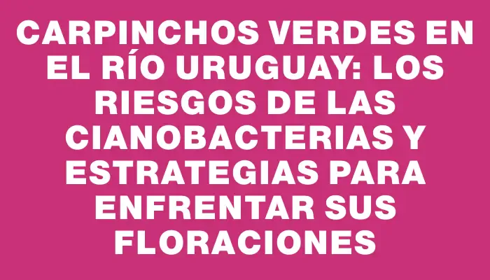 Carpinchos verdes en el río Uruguay: los riesgos de las cianobacterias y estrategias para enfrentar sus floraciones