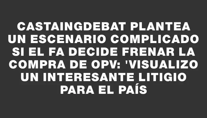 Castaingdebat plantea un escenario complicado si el Fa decide frenar la compra de Opv: "Visualizo un interesante litigio para el país