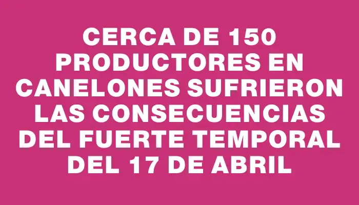 Cerca de 150 productores en Canelones sufrieron las consecuencias del fuerte temporal del 17 de abril