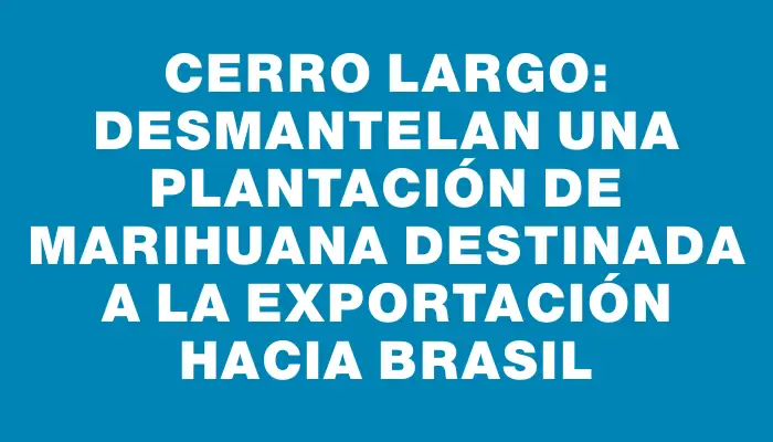 Cerro Largo: desmantelan una plantación de marihuana destinada a la exportación hacia Brasil