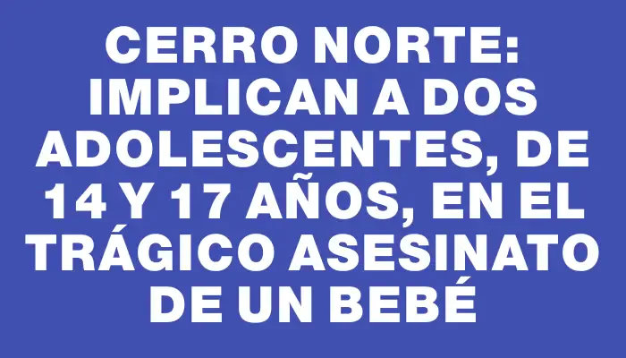 Cerro Norte: implican a dos adolescentes, de 14 y 17 años, en el trágico asesinato de un bebé