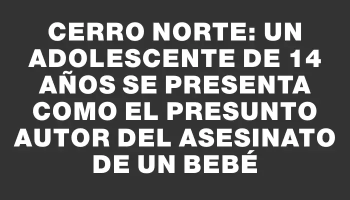 Cerro Norte: Un adolescente de 14 años se presenta como el presunto autor del asesinato de un bebé