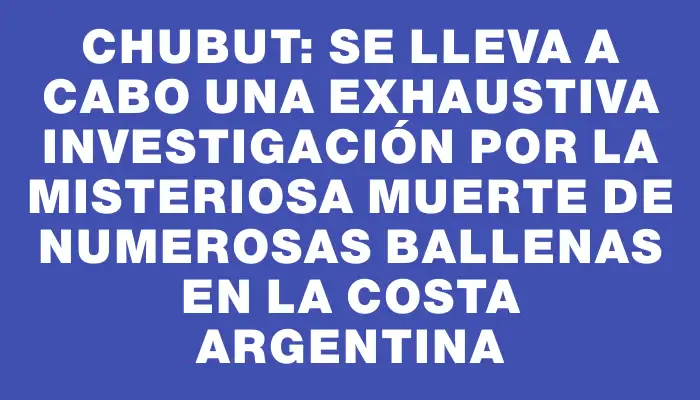 Chubut: se lleva a cabo una exhaustiva investigación por la misteriosa muerte de numerosas ballenas en la costa argentina