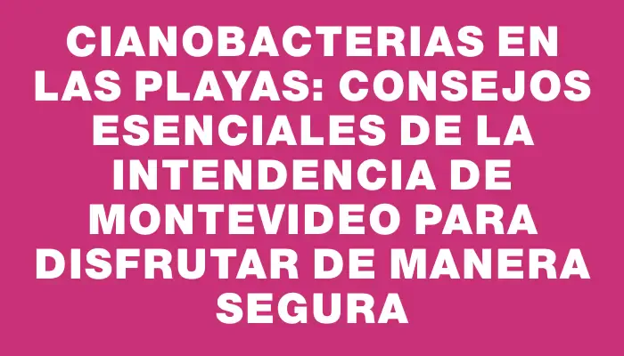 Cianobacterias en las playas: Consejos esenciales de la Intendencia de Montevideo para disfrutar de manera segura